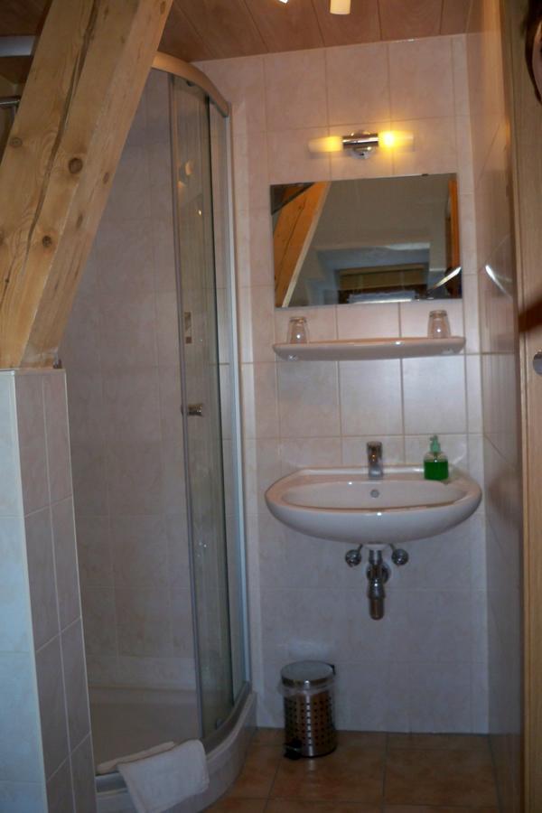 Gasthof Zum Doehlerwald Klingenthal Kültér fotó