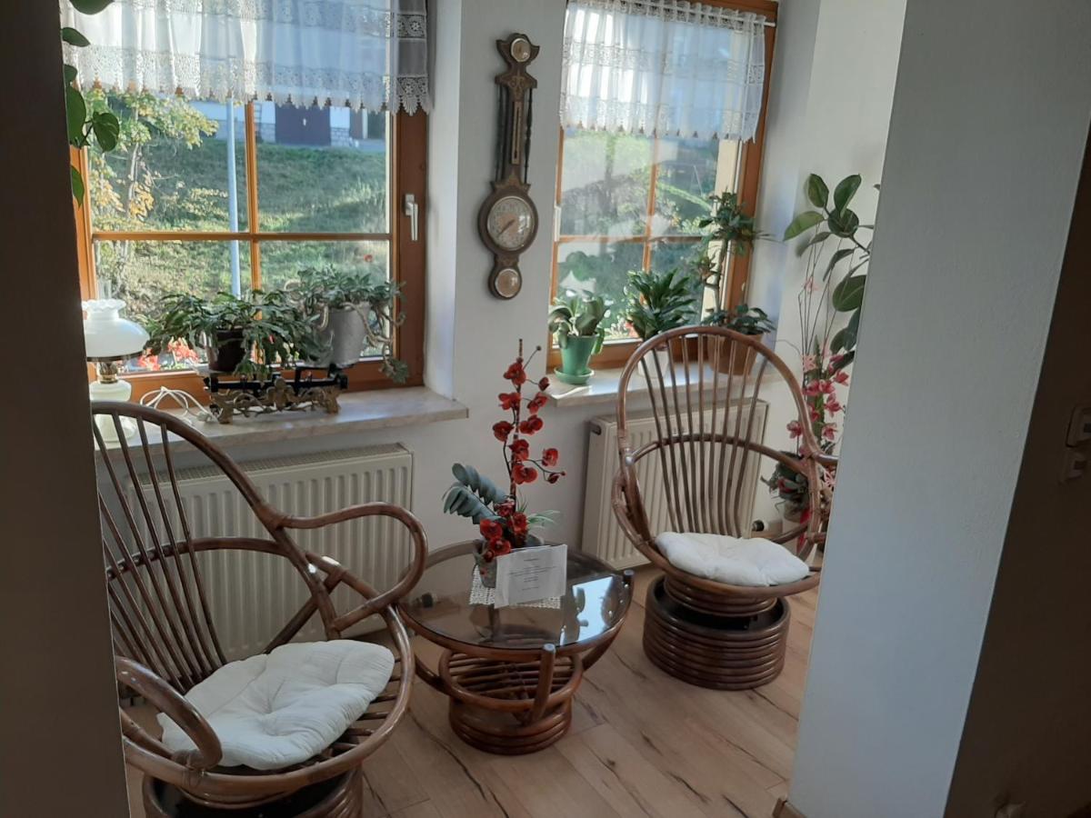 Gasthof Zum Doehlerwald Klingenthal Kültér fotó